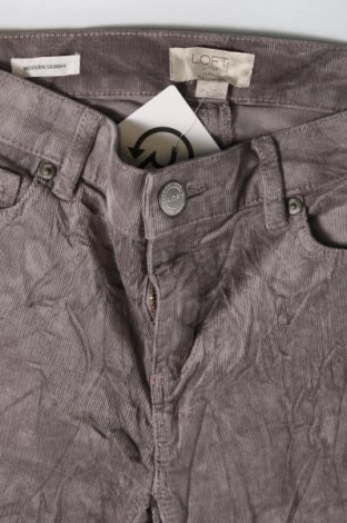 Γυναικείο κοτλέ παντελόνι Loft, Μέγεθος S, Χρώμα Γκρί, Τιμή 42,06 €