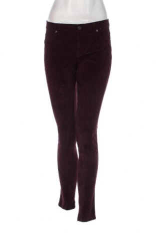 Γυναικείο κοτλέ παντελόνι New York & Company, Μέγεθος M, Χρώμα Βιολετί, Τιμή 23,51 €
