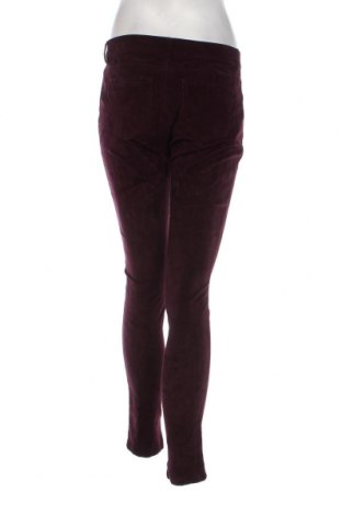 Γυναικείο κοτλέ παντελόνι New York & Company, Μέγεθος M, Χρώμα Βιολετί, Τιμή 23,51 €