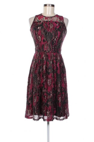 Φόρεμα New York & Company, Μέγεθος XS, Χρώμα Πολύχρωμο, Τιμή 22,27 €