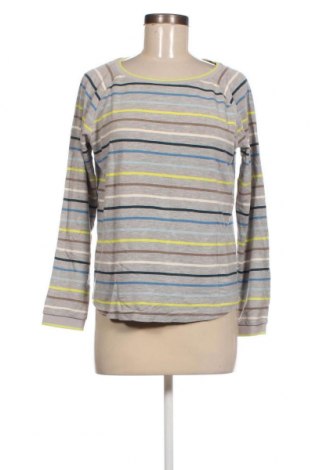 Shirt für Schwangere Cecil, Größe M, Farbe Mehrfarbig, Preis € 23,66