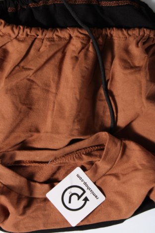 Γυναικεία μπλούζα, Μέγεθος XS, Χρώμα Πολύχρωμο, Τιμή 4,23 €