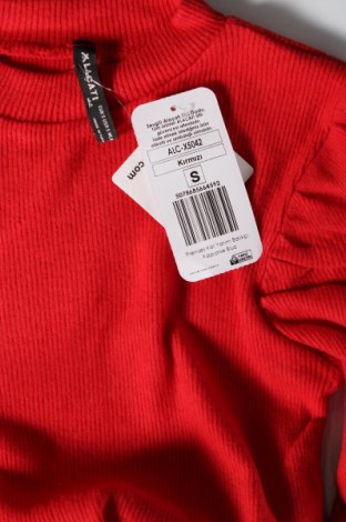 Damen Shirt, Größe S, Farbe Rot, Preis 15,98 €