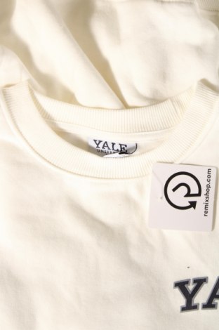 Γυναικεία μπλούζα, Μέγεθος L, Χρώμα Εκρού, Τιμή 11,75 €