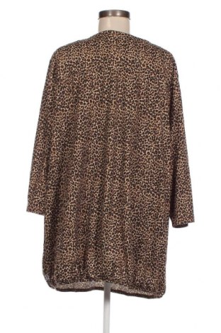 Γυναικεία μπλούζα, Μέγεθος XL, Χρώμα Πολύχρωμο, Τιμή 4,00 €