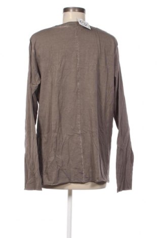 Γυναικεία μπλούζα, Μέγεθος XXL, Χρώμα  Μπέζ, Τιμή 11,16 €