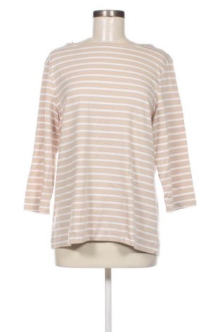 Γυναικεία μπλούζα Adagio, Μέγεθος XL, Χρώμα  Μπέζ, Τιμή 5,88 €