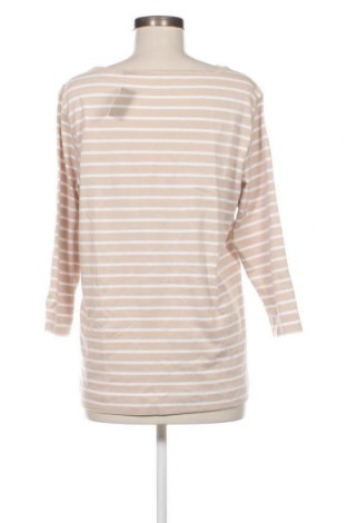 Γυναικεία μπλούζα Adagio, Μέγεθος XL, Χρώμα  Μπέζ, Τιμή 3,53 €