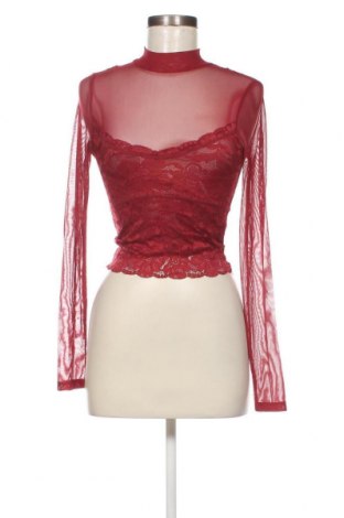 Γυναικεία μπλούζα Amisu, Μέγεθος XS, Χρώμα Κόκκινο, Τιμή 11,75 €