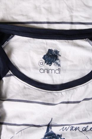 Γυναικεία μπλούζα Animal, Μέγεθος M, Χρώμα Πολύχρωμο, Τιμή 21,03 €