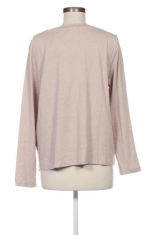 Γυναικεία μπλούζα Anna Field, Μέγεθος XXL, Χρώμα  Μπέζ, Τιμή 6,23 €