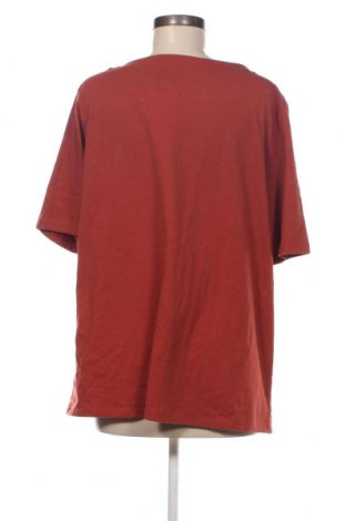 Γυναικεία μπλούζα C&A, Μέγεθος XL, Χρώμα Καφέ, Τιμή 5,88 €