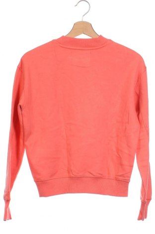 Γυναικεία μπλούζα Calvin Klein Jeans, Μέγεθος XS, Χρώμα Ρόζ , Τιμή 31,71 €