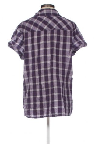 Damen Shirt Cecil, Größe XXL, Farbe Lila, Preis € 17,39