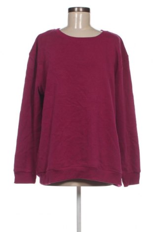 Γυναικεία μπλούζα Cherri, Μέγεθος XXL, Χρώμα Ρόζ , Τιμή 6,11 €