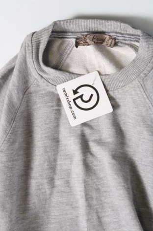 Γυναικεία μπλούζα Collezione, Μέγεθος S, Χρώμα Γκρί, Τιμή 8,70 €