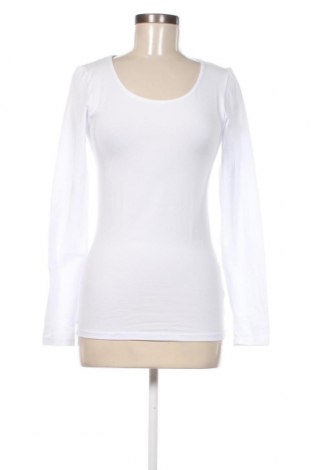 Γυναικεία μπλούζα Cotonella, Μέγεθος L, Χρώμα Λευκό, Τιμή 15,98 €