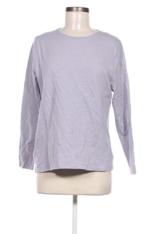 Γυναικεία μπλούζα Crane, Μέγεθος XL, Χρώμα Βιολετί, Τιμή 2,85 €