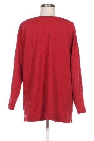 Γυναικεία μπλούζα D&Co, Μέγεθος XL, Χρώμα Κόκκινο, Τιμή 5,52 €