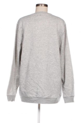Γυναικεία μπλούζα Damart, Μέγεθος XXL, Χρώμα Γκρί, Τιμή 5,95 €