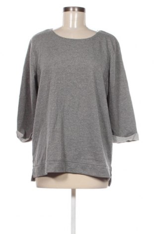 Damen Shirt Ed.it.ed, Größe XL, Farbe Grau, Preis 6,61 €