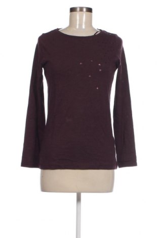 Γυναικεία μπλούζα Edc By Esprit, Μέγεθος XS, Χρώμα Βιολετί, Τιμή 4,21 €
