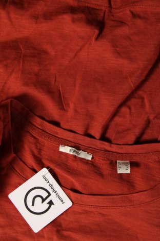 Дамска блуза Esprit, Размер L, Цвят Кафяв, Цена 34,00 лв.