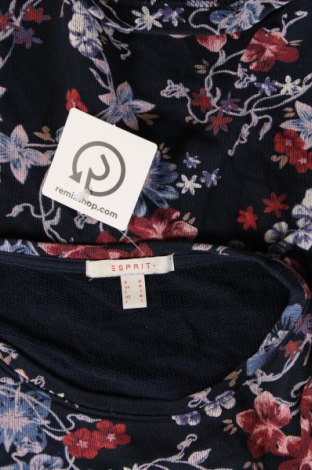 Γυναικεία μπλούζα Esprit, Μέγεθος M, Χρώμα Πολύχρωμο, Τιμή 4,42 €