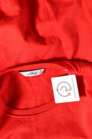 Damen Shirt Essentials by Tchibo, Größe XL, Farbe Orange, Preis 6,35 €