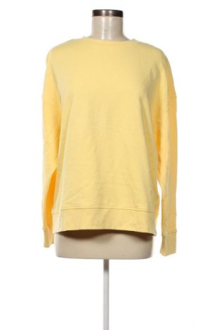Γυναικεία μπλούζα Essentials by Tchibo, Μέγεθος XL, Χρώμα Κίτρινο, Τιμή 5,88 €