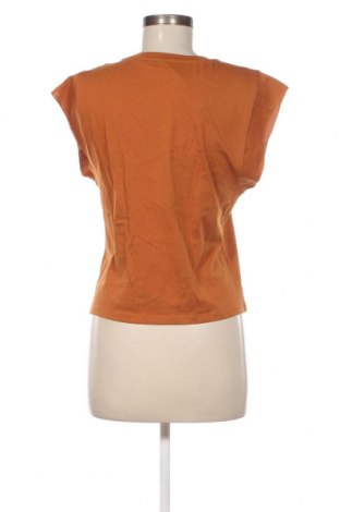 Damen Shirt Etam, Größe S, Farbe Braun, Preis 5,95 €