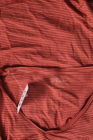 Damen Shirt Fjallraven, Größe S, Farbe Mehrfarbig, Preis 24,87 €