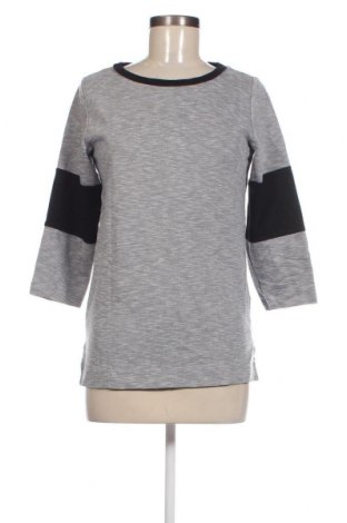 Γυναικεία μπλούζα French Connection, Μέγεθος XS, Χρώμα Γκρί, Τιμή 14,85 €