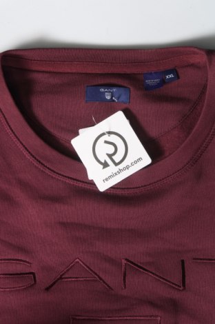 Γυναικεία μπλούζα Gant, Μέγεθος XXL, Χρώμα Κόκκινο, Τιμή 46,39 €