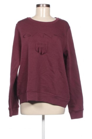 Γυναικεία μπλούζα Gant, Μέγεθος XXL, Χρώμα Κόκκινο, Τιμή 46,39 €
