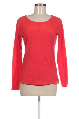 Γυναικεία μπλούζα Gina, Μέγεθος M, Χρώμα Κόκκινο, Τιμή 4,11 €