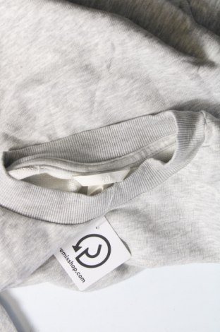 Damen Shirt H&M, Größe S, Farbe Grau, Preis € 3,31