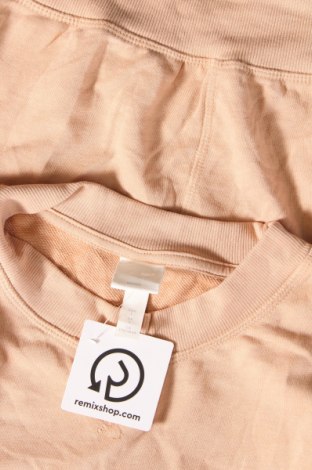 Γυναικεία μπλούζα H&M, Μέγεθος L, Χρώμα  Μπέζ, Τιμή 2,70 €