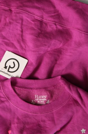 Γυναικεία μπλούζα Hanes, Μέγεθος XL, Χρώμα Βιολετί, Τιμή 11,75 €