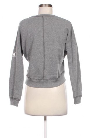 Damen Shirt Hollister, Größe XS, Farbe Grau, Preis € 23,66