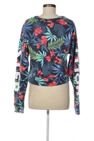 Damen Shirt Hollister, Größe M, Farbe Mehrfarbig, Preis € 23,66