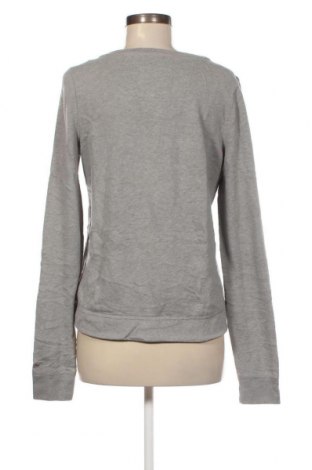 Damen Shirt Hollister, Größe M, Farbe Grau, Preis € 4,73