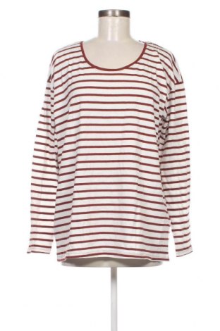 Γυναικεία μπλούζα In Extenso, Μέγεθος XL, Χρώμα Λευκό, Τιμή 5,88 €