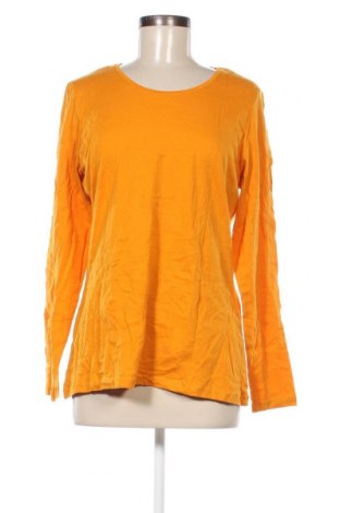 Γυναικεία μπλούζα Janina, Μέγεθος L, Χρώμα Κίτρινο, Τιμή 2,35 €