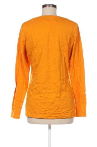 Γυναικεία μπλούζα Janina, Μέγεθος L, Χρώμα Κίτρινο, Τιμή 2,70 €