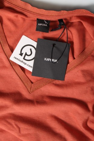Γυναικεία μπλούζα Kaporal, Μέγεθος XL, Χρώμα Καφέ, Τιμή 21,83 €