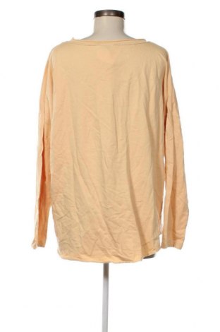 Γυναικεία μπλούζα Laura Torelli, Μέγεθος L, Χρώμα Πορτοκαλί, Τιμή 3,41 €