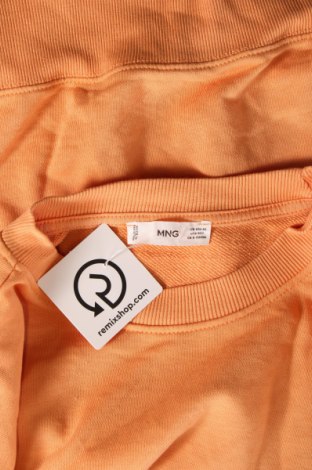 Γυναικεία μπλούζα Mango, Μέγεθος XS, Χρώμα Πορτοκαλί, Τιμή 4,51 €