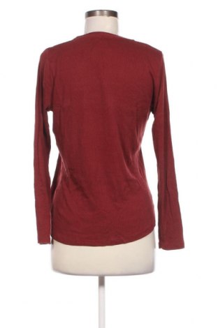 Γυναικεία μπλούζα Massimo Dutti, Μέγεθος XL, Χρώμα Καφέ, Τιμή 26,72 €