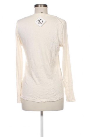 Damen Shirt Massimo Dutti, Größe XL, Farbe Ecru, Preis 31,73 €